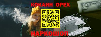 прущие грибы Абакан