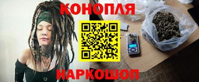 СК Гатчина
