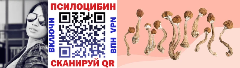 мега вход что такое наркотик Ангарск Галлюциногенные грибы Cubensis