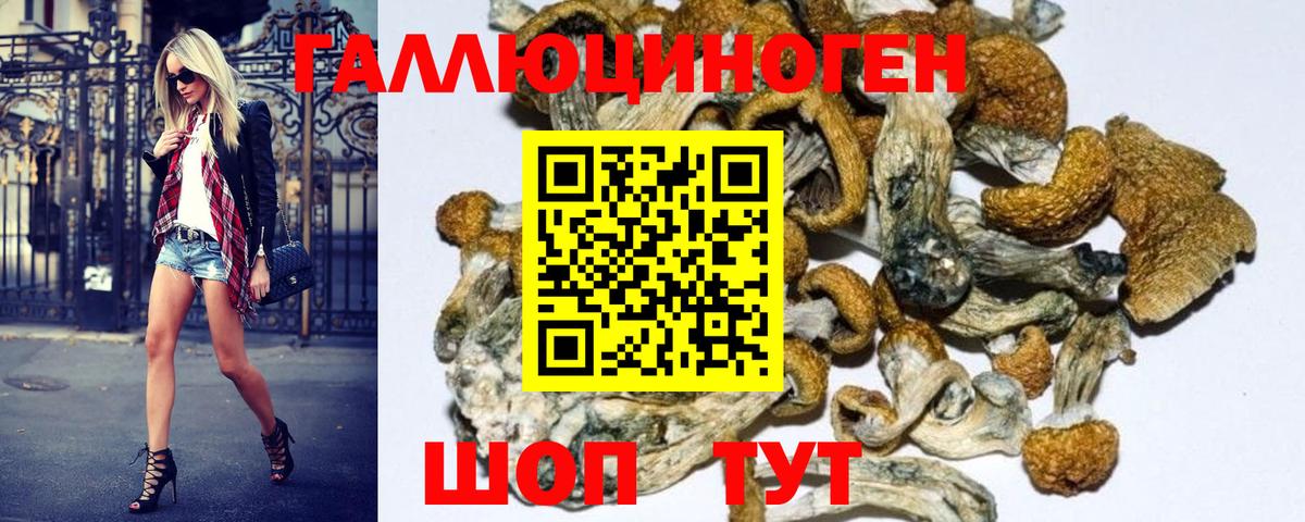 Галлюциногенные грибы Cubensis Ангарск